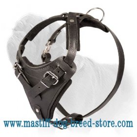 True Leather Mastiff Agitation Harness with Extremely Soft Chest