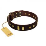 "Blinking Illusion" FDT Artisan Brown Leather Mastiff Collar with Old Bronze-like Studs and Plates