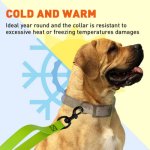 Biothane Waterproof Multi-Handle Leash_12