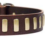 Similar Dream Weaver Leather Dog collar 3/4" for Mastiff