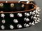 Protector Full Spiked Latigo Dog Collar for Mastiff