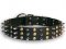 Best Studded and Spiked leather dog collar for big breeds