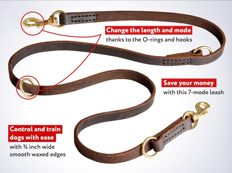Hands Free Control Leather Dog Leash for Mastiff