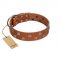 "Ancient Symbol" Trendy FDT Artisan Tan Leather Mastiff Collar with Silver- and Gold-Like Studs