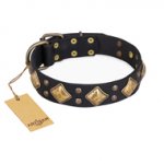 "Fancy-Schmancy" FDT Artisan Studded Leather Mastiff Collar