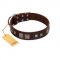 "Object of Virtu" FDT Artisan Brown Leather Mastiff Collar with Old Silver-like Square Studs and Pyramids
