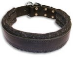 Wide Stitched Leather Dog Collar-D Ring in Front Mastiff