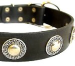 Deluxe Leather Dog Collar with jewelry for Mastiff
