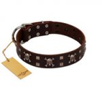 "Menacing Allure" FDT Artisan Brown Leather Mastiff Collar Embellished with Silvery Crossbones and Square Studs