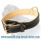 Nappa Padded Leather Dog Collar for Mastiff Training and Walking