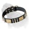 Leather Dog Collar with Spikes, Studs and Plates Mastiff Training/Walking