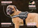 Buy Everyday Reflective Dog harness for Bullmastiff with handle