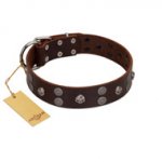 "Skull Valley" Handcrafted FDT Artisan Brown Leather Mastiff Collar with Skulls