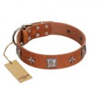 "Lucky Star" FDT Artisan Tan Leather Mastiff Collar with Silver-Like Embellishments