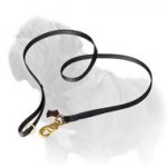 Super Multifunctional Mastiff Dog Lead of Nylon