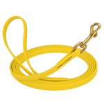 Biothane Leash 10 ft w/ Brass Hardware_4