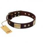 "Middle Age" FDT Artisan Brown Leather Mastiff Collar with Old Bronze-Plated Engraved Flowers and Large Plates