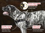 Mastiff Pulling/Tracking Leather Dog Harness