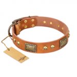 "Saucy Nature" FDT Artisan Tan Leather Mastiff Collar with Old Bronze Look Plates and Skulls