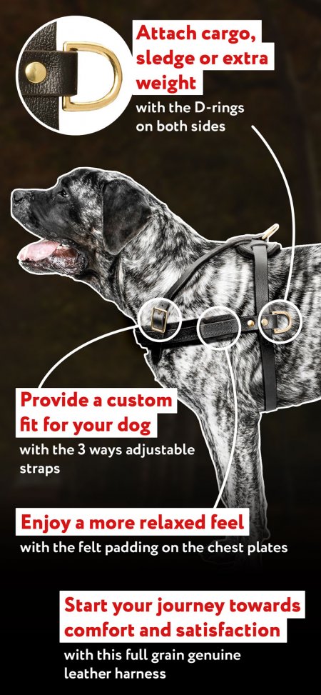 custom tracking harness