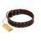 "Star Party" Handmade FDT Artisan Brown Leather Mastiff Collar with Silver-Like Studs