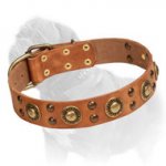 'Golden Knights' Mastiff Dog Collar