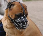 Mastiff Wire Basket dog muzzle