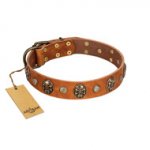 "Call of Feat" FDT Artisan Tan Leather Mastiff Collar with Old Bronze-like Studs and Oval Brooches