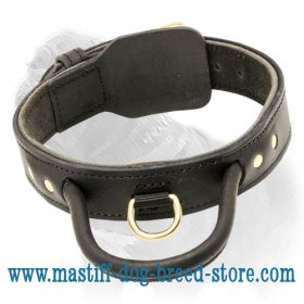 Incredibly Durable Mastiff Dog Collar with Handle