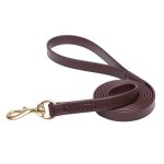 Brown Waterproof Mastiff Leash Made of Biothane_1