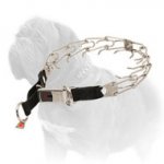 Easy-to-Use Mastiff Dog Pinch Prong Collar