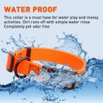 Biothane Waterproof Collar with Quick Release Buckle_12