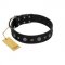 "Mr. Elegance" Designer FDT Artisan Black Leather Mastiff Collar with Silver-Like Studs