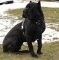 Like Tru-Fit Dog harness-Smart Harness for Mastiff