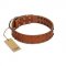 "Star Light" Stylish FDT Artisan Tan Leather Mastiff Collar with Silver-Like Studs