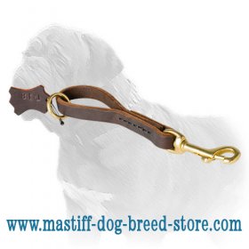 'Easy Grab' Mastiff Dog Leash