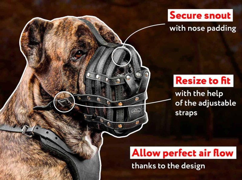 Mastiff Delicate Leather Cage Muzzle - Excellent Air Circulation Variant
