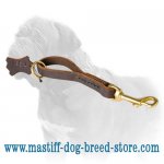 \'Easy Grab\' Mastiff Dog Leash_1