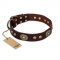 "Breath of Elegance" FDT Artisan Decorated with Plates Brown Leather Mastiff Collar