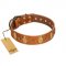 "Glossy Autumn" Designer Handmade FDT Artisan Tan Leather Mastiff Collar with Ovals and Studs