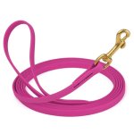 Biothane Leash 20 Ft w/ Brass Hardware_1