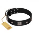 "Black Cavalier" Handmade FDT Artisan Black Leather Mastiff Collar with Silver-Like Stars and Large Plates