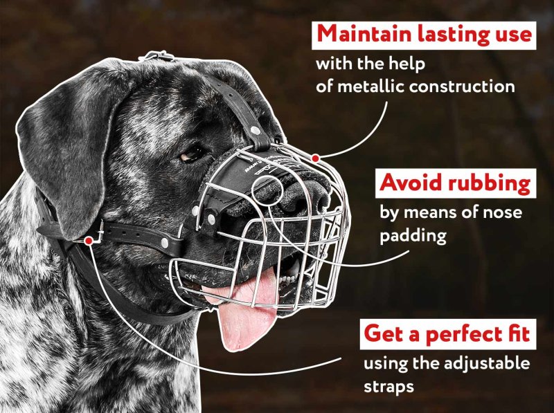 Get Awesome Wire Cage Free Breathe Pet Muzzle for Dog Walking