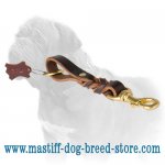 Walker Mastiff Dog Leash With Braided Adornment_1