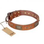 "Catchy Look" FDT Artisan Decorated Tan Leather Mastiff Collar