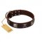"Nut-Brown Finery" Embellished FDT Artisan Brown Leather Mastiff Collar with Chrome Plated Crossbones and Plates