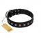 "Silver Flower" Exclusive FDT Artisan Black Leather Mastiff Collar with Silver-Like Studs