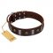"War Chief" FDT Artisan Genuine Brown Leather Mastiff Collar with Skulls and Plates