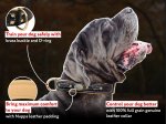 Nappa Padded Mastiff Dog Collar with Handset Leather Braids
