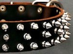 Protector Full Spiked Latigo Dog Collar for Mastiff